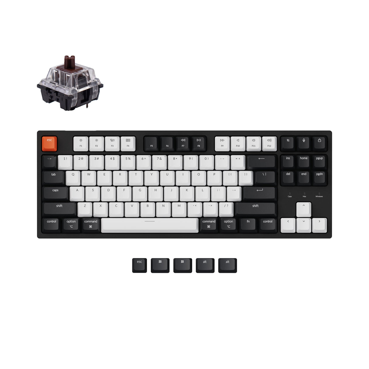 Keychron c1 hot swappable wired wireless mechanical keyboard tenkeyless layout for Mac Windows non backlight Keychron switch brown