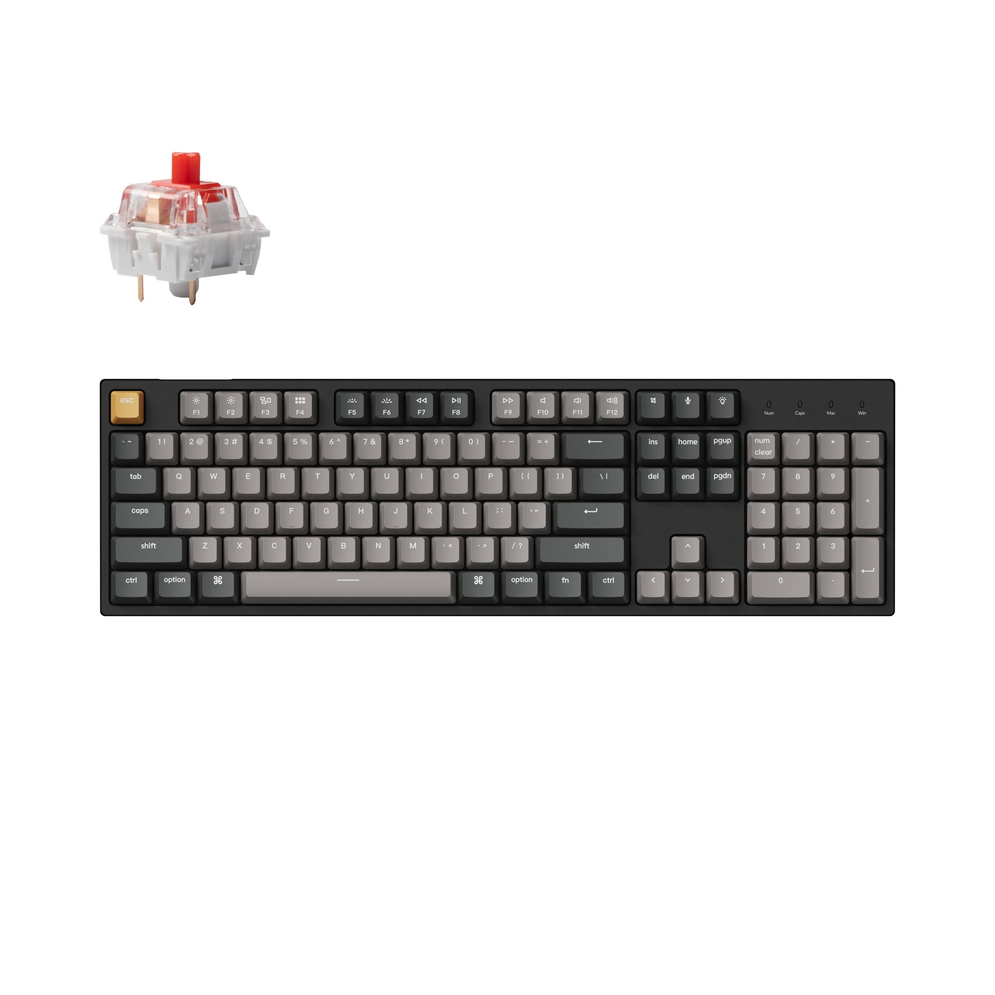 Keychron C2 Pro QMK/VIA Wired Mechanical Keyboard – Keychron Singapore