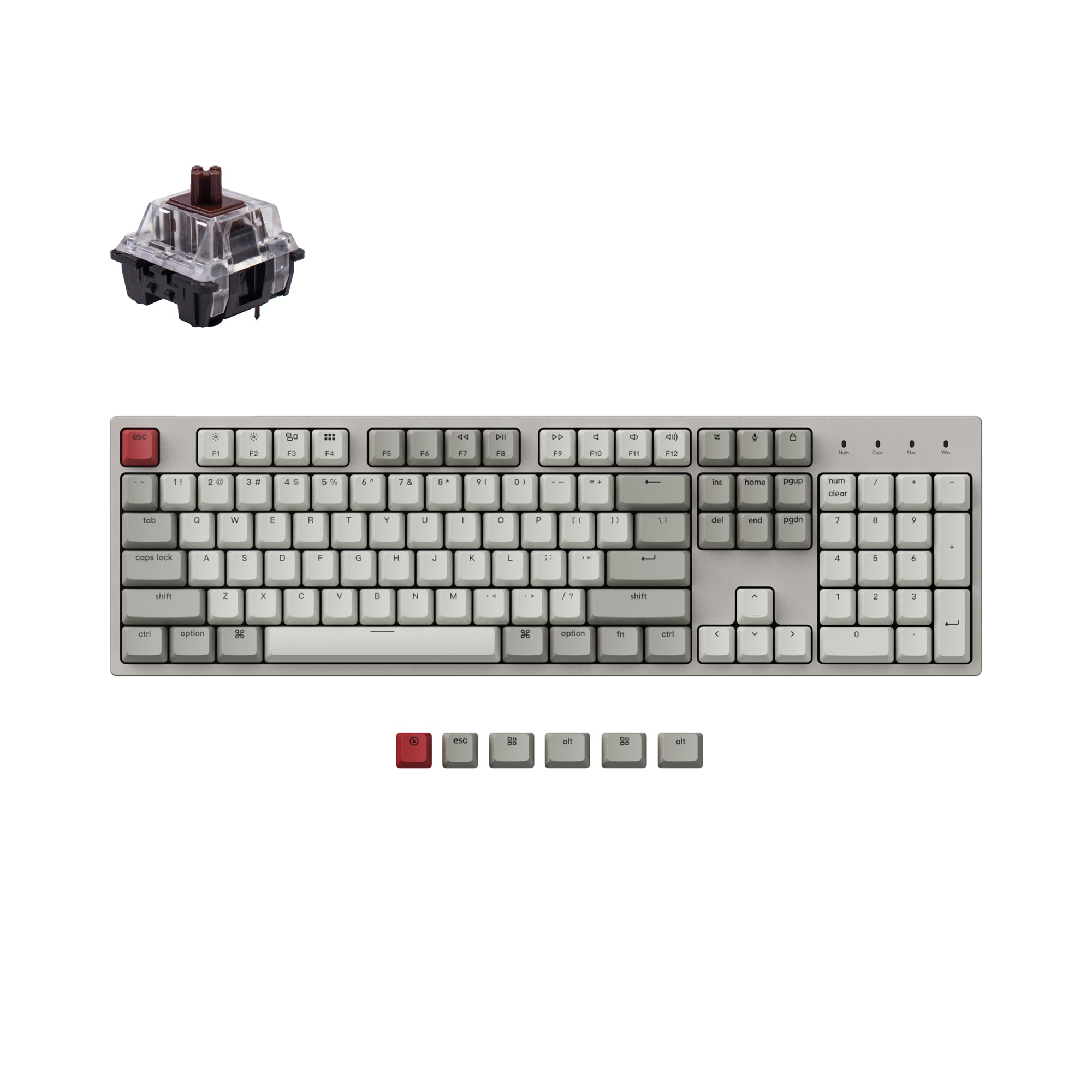Keychron C2 Wired Mechanical Keyboard – Keychron Singapore