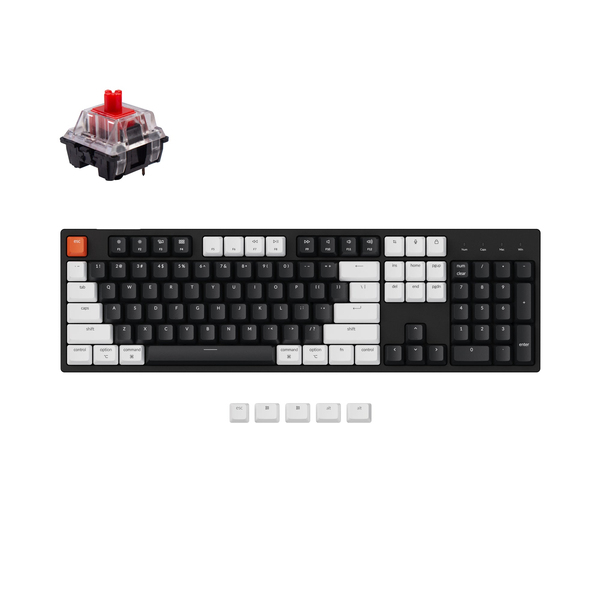 Keychron C2 Wired Mechanical Keyboard – Keychron Singapore