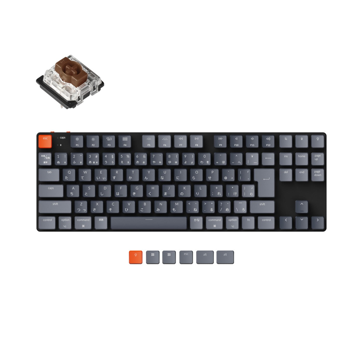 Keychron Q1 75% 日本語(JIS) 茶軸 Keychron K1 SE Wireless Mechanical Keyboard (Japan JIS Layout
