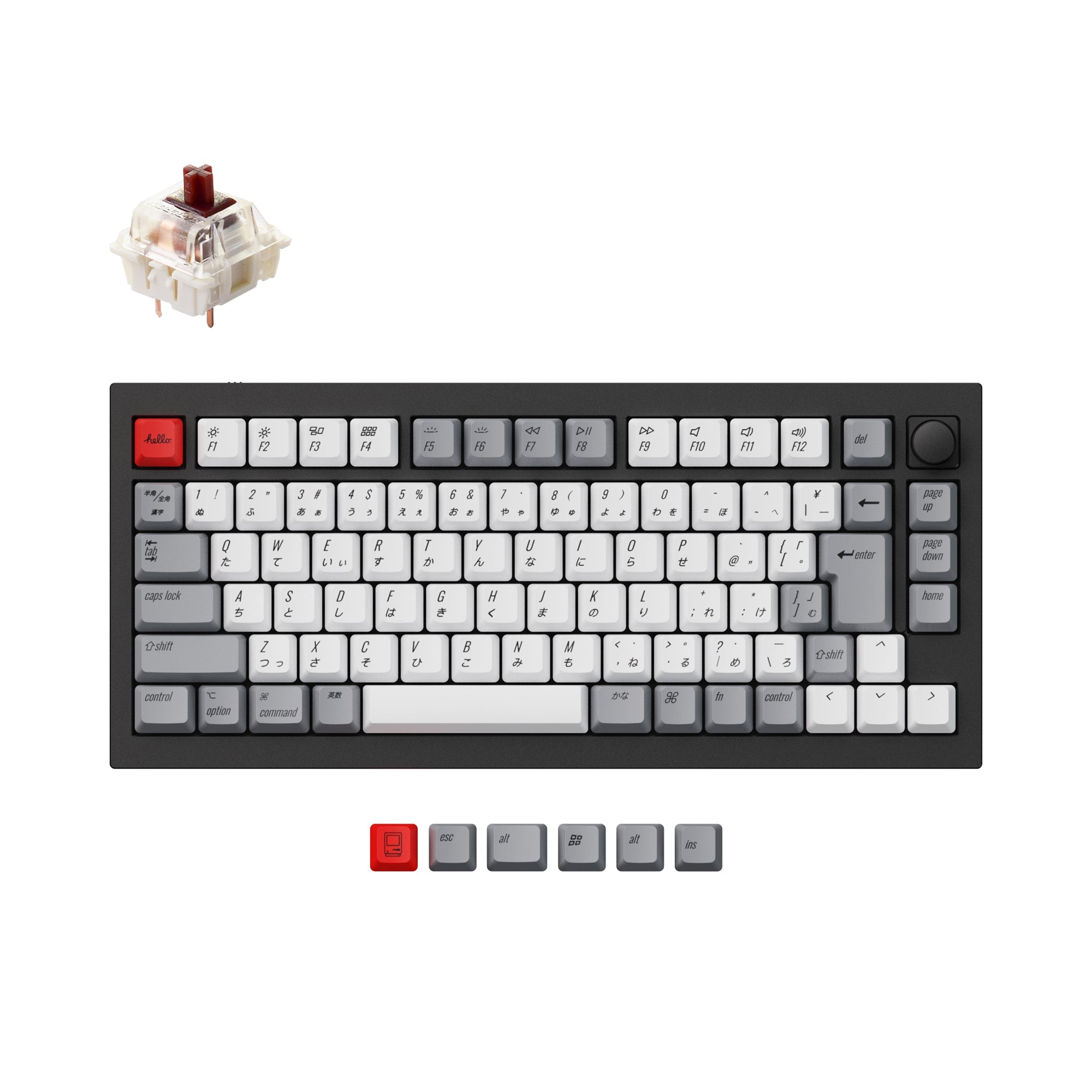 Keychron Q1 QMK Custom Mechanical Keyboard (Japan JIS Layout