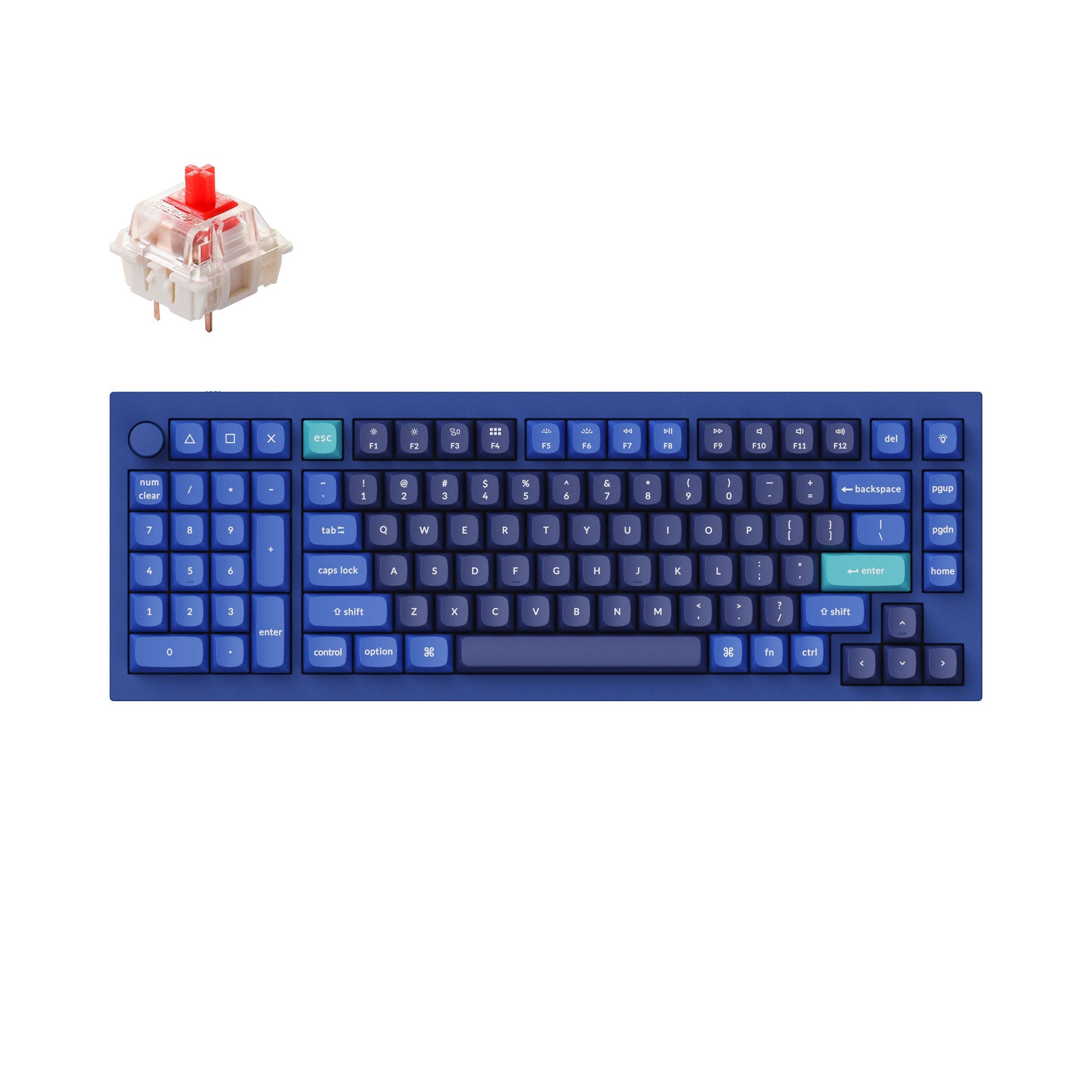 Keychron Q12 QMK / Gateron G Pro 赤軸 Keychron Q12 QMK Custom Mechanical Keyboard – Keychron Singapore